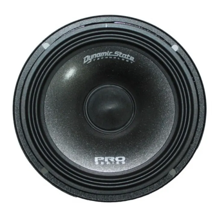 Dynamic State PM-165.3 Pro Series эстрадная акустика в Тольятти