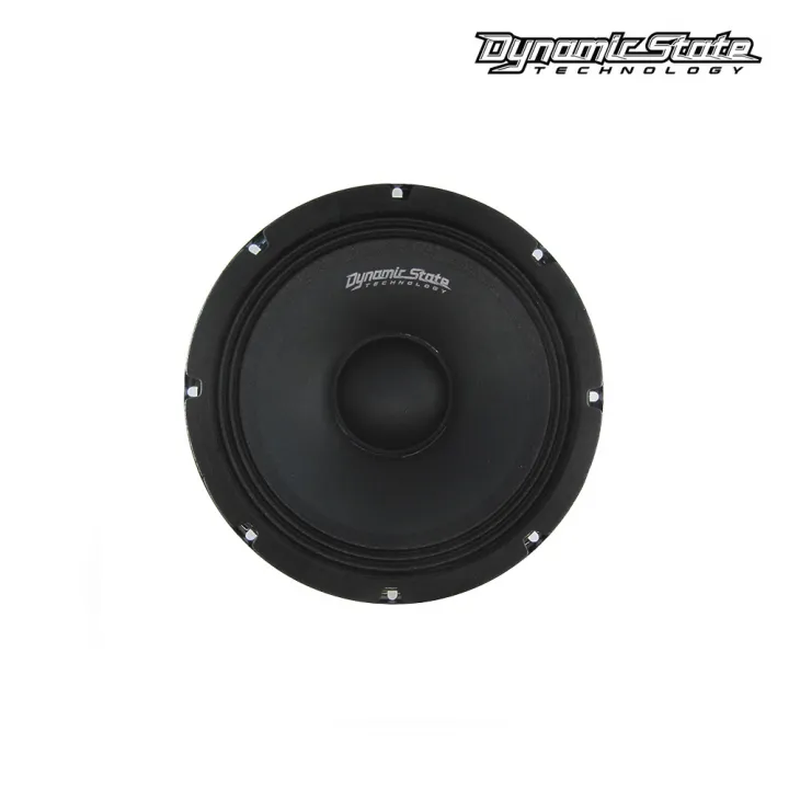 Dynamic State CM-20.1v2 эстрадная акустика в Тольятти