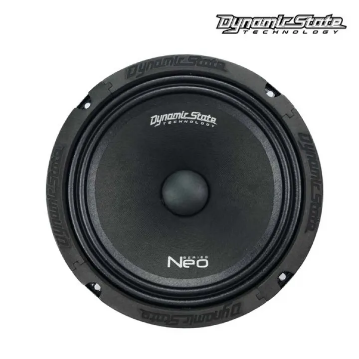 Dynamic State NM-20.2 Neo эстрадная акустика в Тольятти