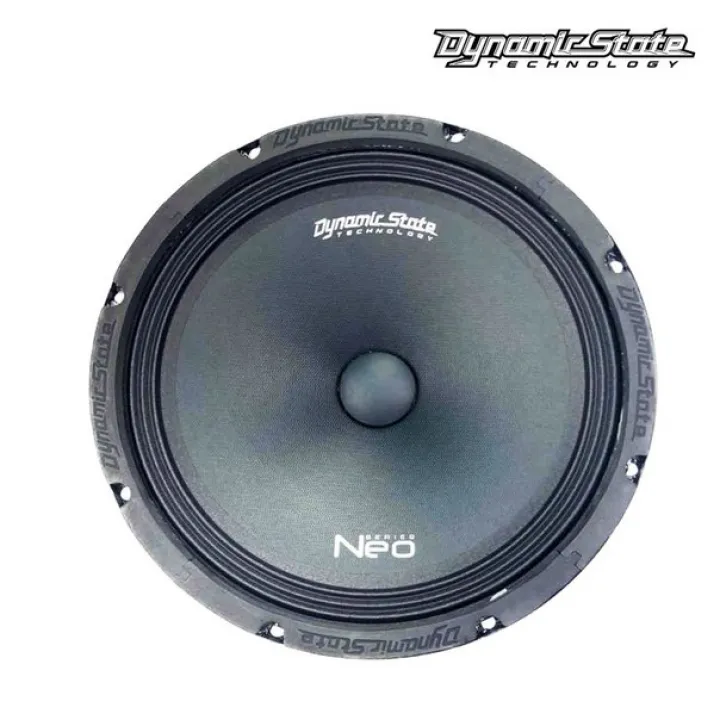 Dynamic State NM-25.1 Neo эстрадная акустика в Тольятти