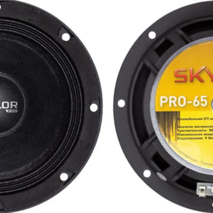 SKYLOR PRO-65 эстрадная акустика в Тольятти