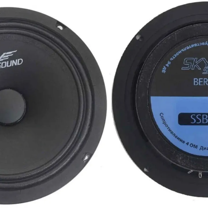 SkySound SSC-85 эстрадная акустика в Тольятти