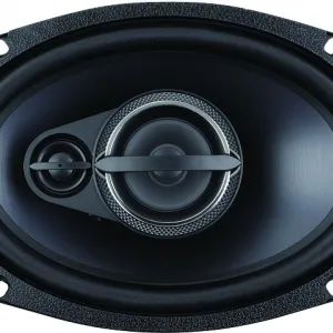 SKYLOR R69 coax акустика