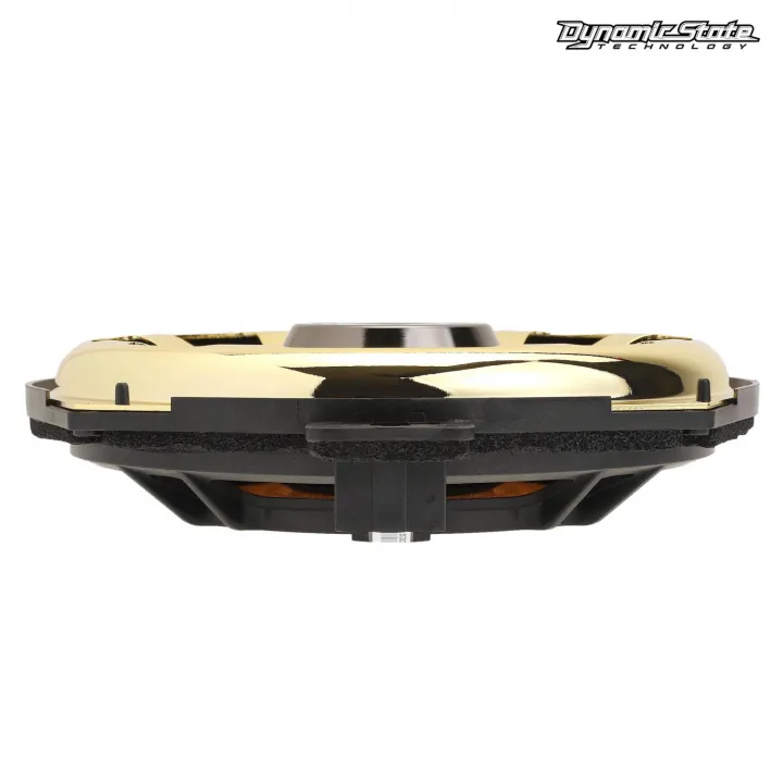 Dynamic State DIVE DBW-SW202G сабвуфер в Тольятти