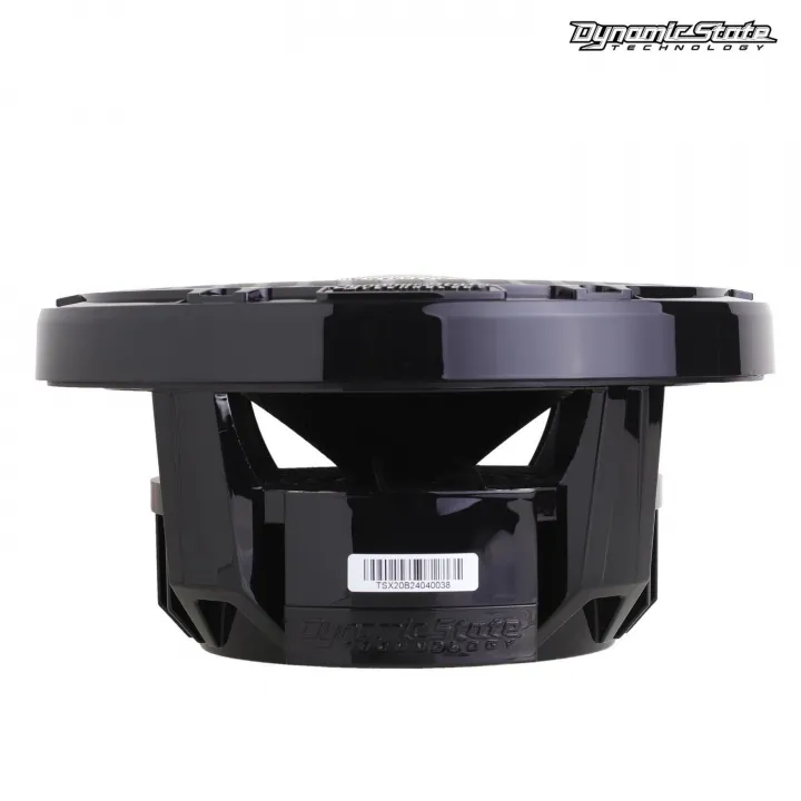 Dynamic State TRITON TS-X20B Black влагозащищённая акустика в Тольятти