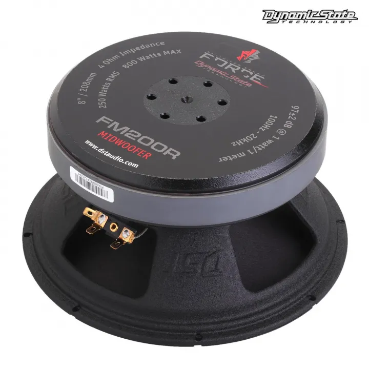 Dynamic State FM200R FORCE Эстрадная акустика в Тольятти