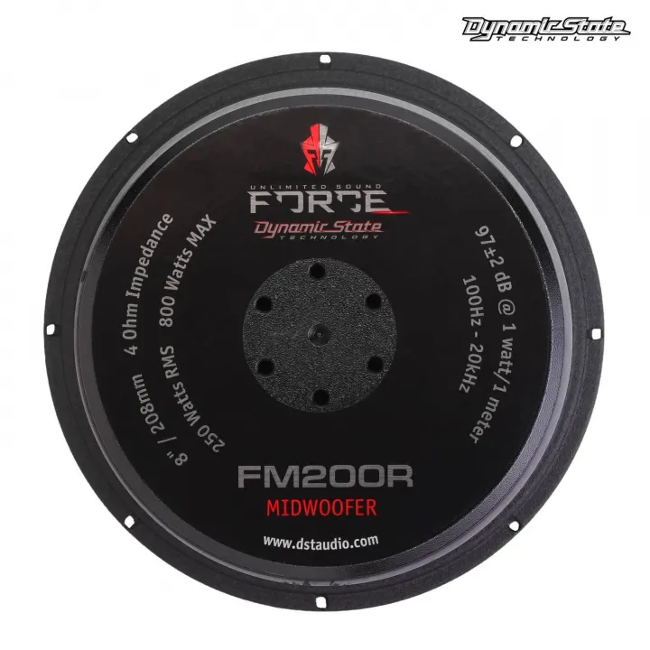 Dynamic State FM200R FORCE Эстрадная акустика в Тольятти