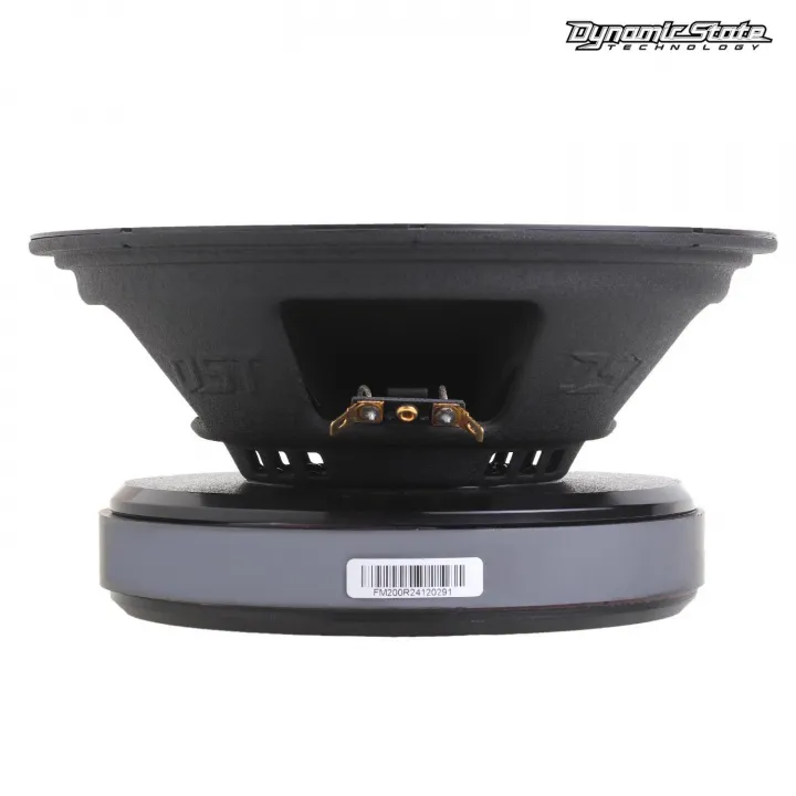 Dynamic State FM200R FORCE Эстрадная акустика в Тольятти