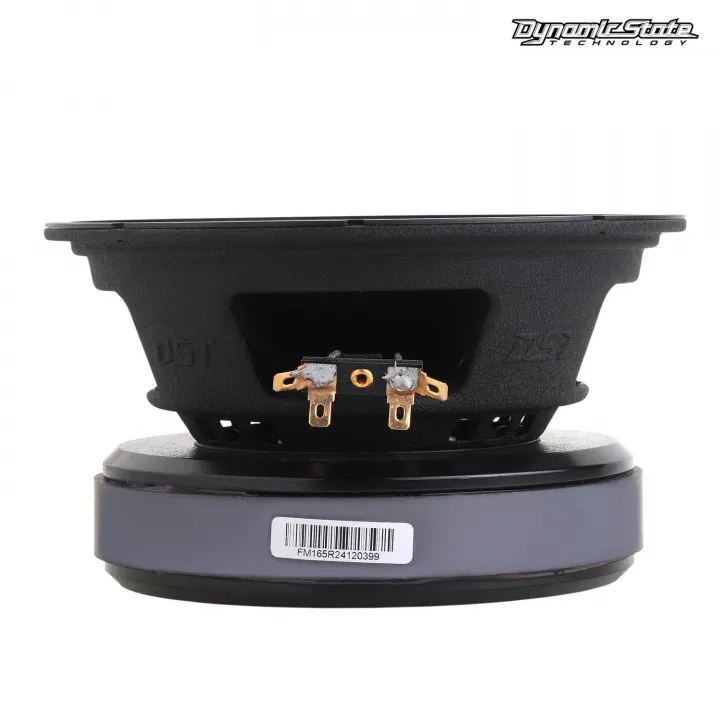Dynamic State FM165R FORCE эстрадная акустика в Тольятти