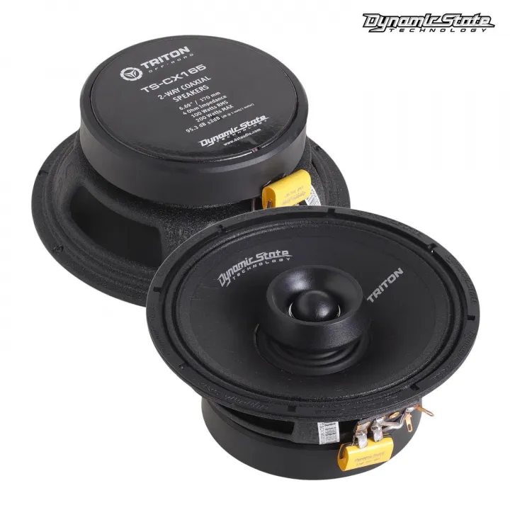 Dynamic State TRITON TS-CX165 влагозащищенная акустика в Тольятти